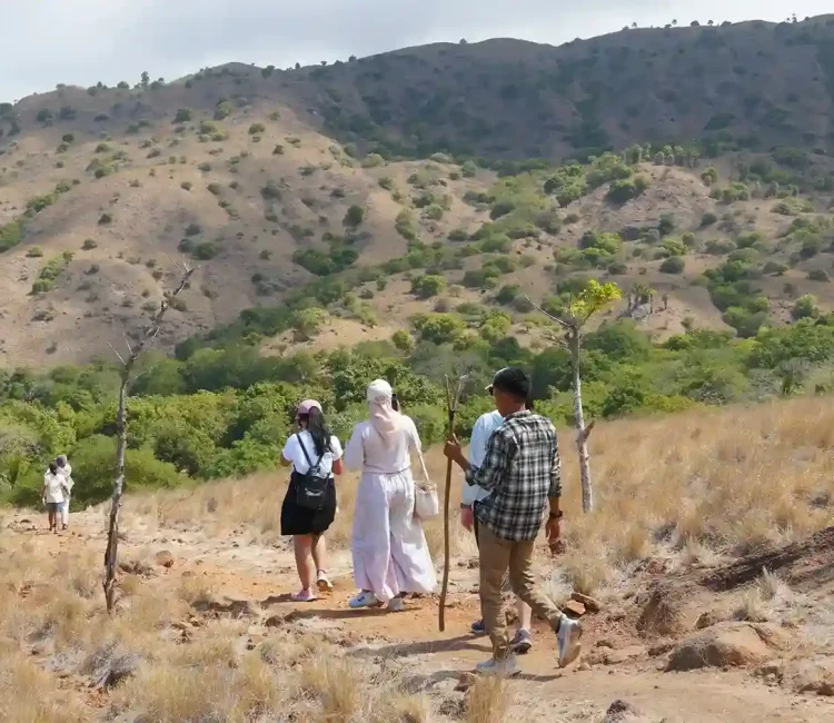 Trekking-Track-on-Rinca-Island-Komodo-Luxury.webp